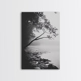 Misty Tree, Shoreline Fog, Forest Edge, Moody Atmosphere, Framed Canvas Print, Bedroom Wall Art, Autumn Woodland Style, Serene Nature Decor