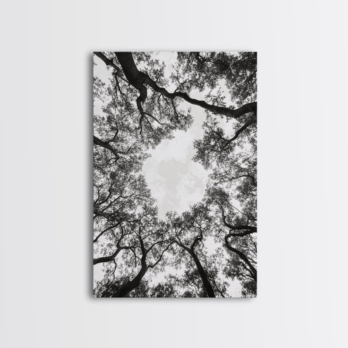 Forest Canopy View, Tree Tops Art, Nature Sky Print, Framed Canvas Print, Bedroom Wall Art, Minimalist Nature, Modern Rustic Decor