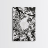 Forest Canopy View, Tree Tops Art, Nature Sky Print, Framed Canvas Print, Bedroom Wall Art, Minimalist Nature, Modern Rustic Decor