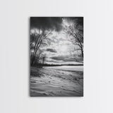 Dramatic Beach Sunset, Bare Trees Silhouette, Nature Photography, Framed Canvas Print, Fall Wall Art, Entryway Decor, Rustic Minimalist