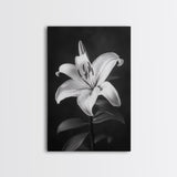Elegant Lily, Black and White, Floral Beauty, Canvas Print, Botanical Wall Art, Minimalist Art, Bedroom Wall Decor, Nature Photography