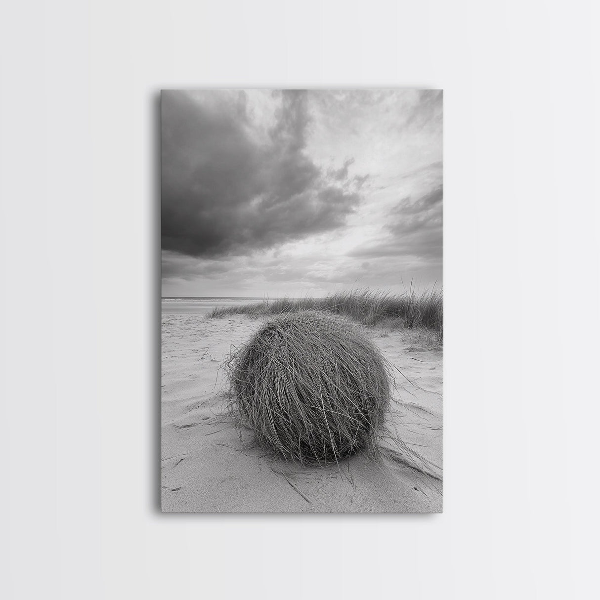 Tumbleweed Dune, Windy Coast, Desert Beach, Canvas Print, Boho Wall Art, Autumn Nature Decor, Minimalist Western Photography