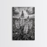 Lupine Flower Field, Bold Floral, Spring Nature Scene, Framed Canvas Print, Boho Living Room Art, Botanical Wall Decor