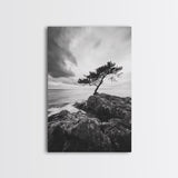Lone Tree, Cliffside Ocean, Windy Coast Art, Framed Canvas Print, Bedroom Wall Art, Modern Nature Photography, Coastal Minimalist Decor