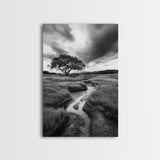 Solitary Tree, Storm Sky, Tranquil Meadow, Nature Landscape, Framed Canvas Print, Rustic Decor, Fall Wall Art, Bedroom Minimalist Art