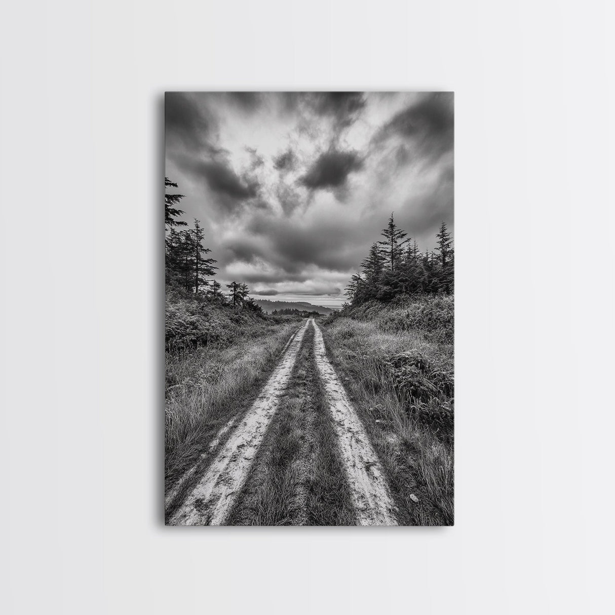 Forest Trail, Overcast Sky, Nature Pathway, Moody Landscape, Framed Canvas Print, Office Wall Art, Woodland Autumn Decor
