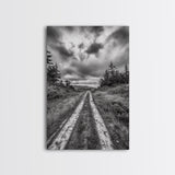 Forest Trail, Overcast Sky, Nature Pathway, Moody Landscape, Framed Canvas Print, Office Wall Art, Woodland Autumn Decor