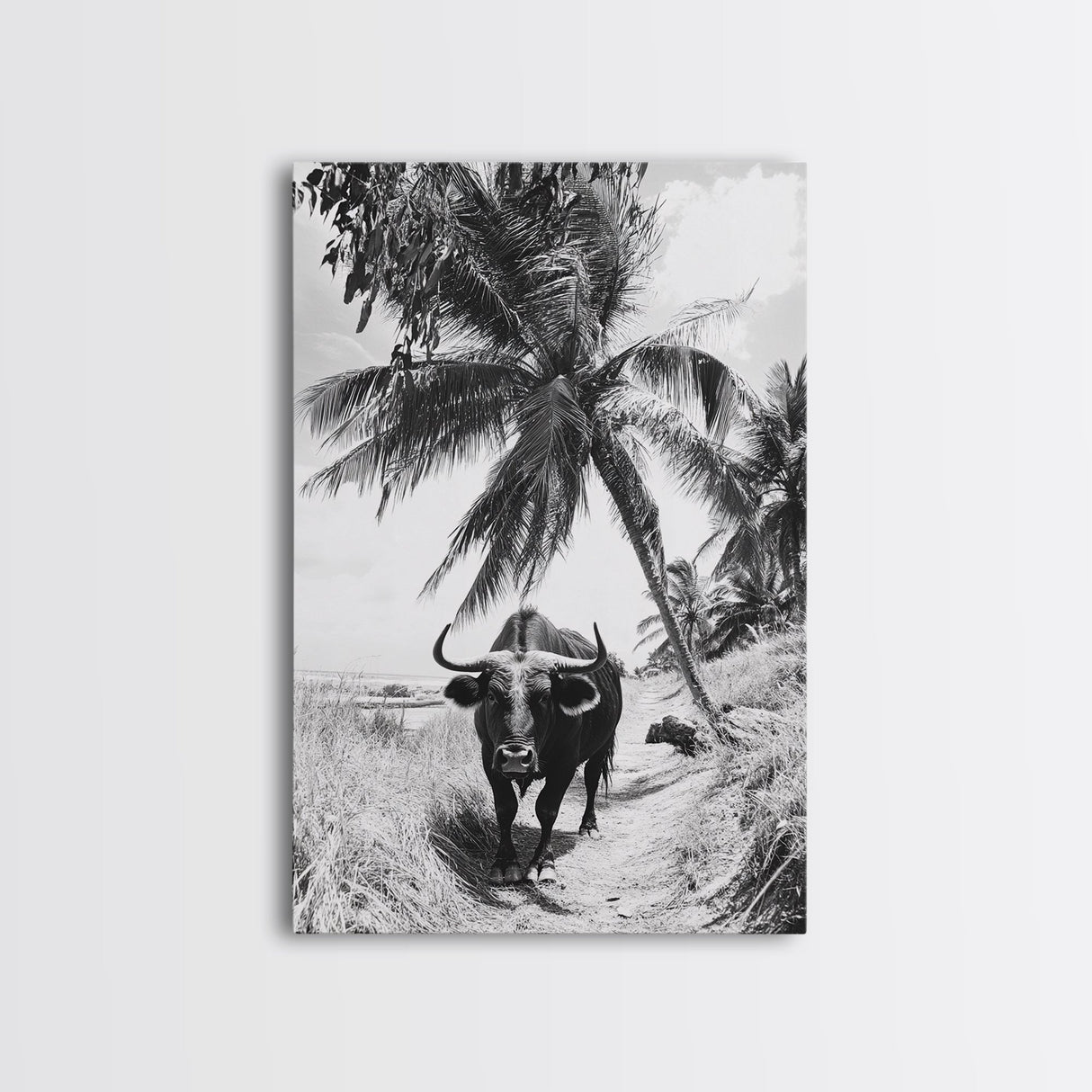 Tropical Bull, Palm Tree, Island Wildlife, Rural Photography, Framed Canvas Print, Kitchen Wall Art, Exotic Boho Decor, farmhouse decor