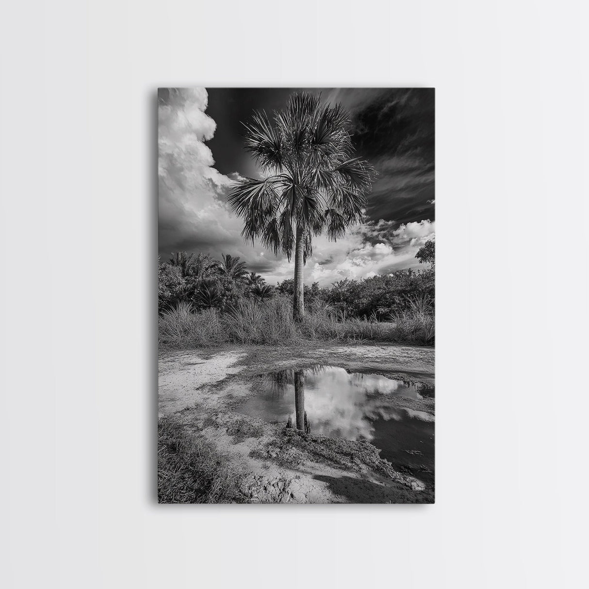 Tropical Palm, Reflected Sky, Nature Tranquility, Canvas Print, boho wall decor, bathroom art, tropical reflection photography