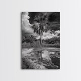 Tropical Palm, Reflected Sky, Nature Tranquility, Canvas Print, boho wall decor, bathroom art, tropical reflection photography