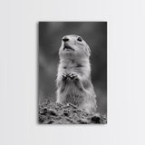 Prairie Dog, Wildlife Watch, Nature Moment, Framed Canvas Print, Whimsical Animal Wall Art, Nursery Decor, Cute Forest Creature