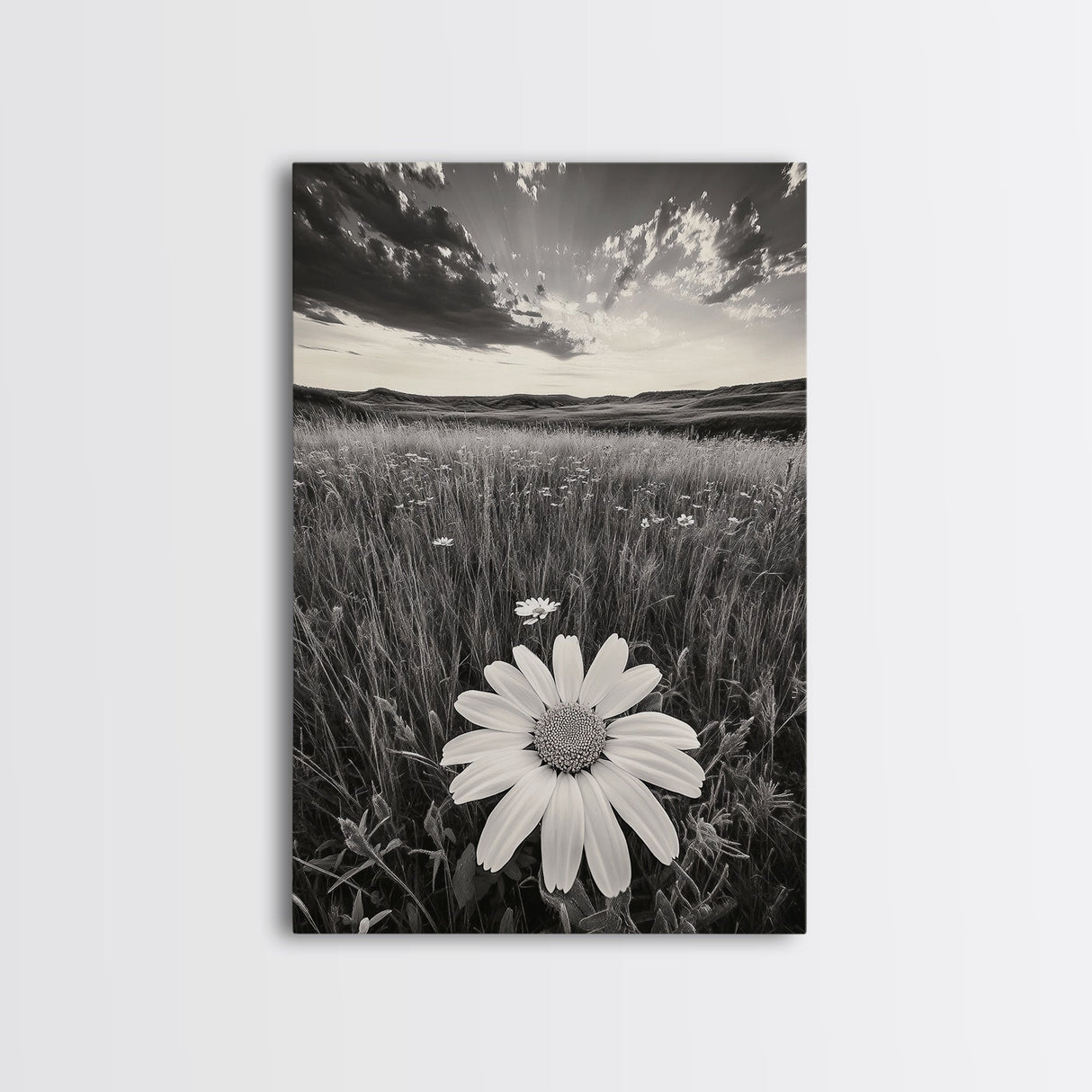 Wildflower Field, Daisy Bloom, Summer Meadow, Framed Canvas Print, Boho Botanical Wall Art, Bedroom Decor, Earthy Nature Photography