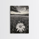 Wildflower Field, Daisy Bloom, Summer Meadow, Framed Canvas Print, Boho Botanical Wall Art, Bedroom Decor, Earthy Nature Photography
