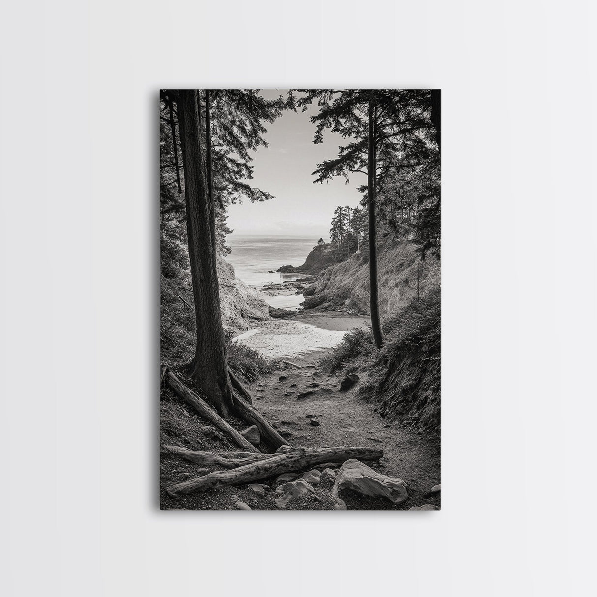 orest Cove, Ocean View, Pacific Trail, Framed Canvas Print, Coastal Nature Wall Art, Entryway Decor, Earthy Minimalist Photography