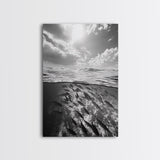 Underwater Scene, School of Fish, Ocean Photography, Split Shot Water, Framed Canvas Print, Bathroom Wall Art, Coastal Decor