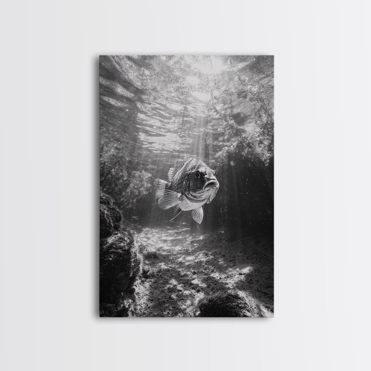Sunlit Fish, Ocean Rays, Underwater Wonder, Tranquil Sea Life, Framed Canvas Print, Kids Room Decor, Coastal Art, Nautical Home Style