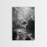 Sunlit Fish, Ocean Rays, Underwater Wonder, Tranquil Sea Life, Framed Canvas Print, Kids Room Decor, Coastal Art, Nautical Home Style
