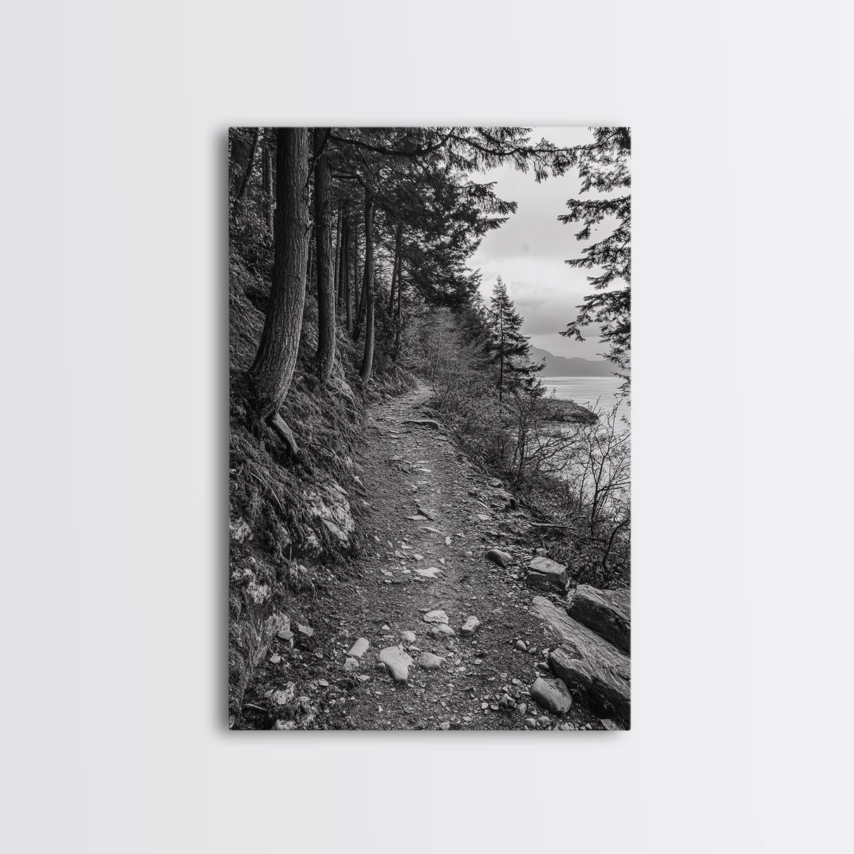 Forest Pathway Trail, Wilderness Escape, Rustic Nature, Black and White Framed Canvas Print, Cozy Cabin or Entryway Wall Art