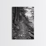 Forest Pathway Trail, Wilderness Escape, Rustic Nature, Black and White Framed Canvas Print, Cozy Cabin or Entryway Wall Art