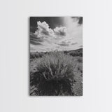 Desert Sage, Cloud Sky, Nature Wall Decor, Framed Canvas Print, Minimalist Art, Boho Style, Neutral Tones, Entryway Botanical Print