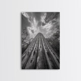 Tall Cactus, Desert Skies, Cactus Wall Art, Framed Canvas Print, Boho Desert Decor, Minimalist Nature Print, Bedroom Southwest Style