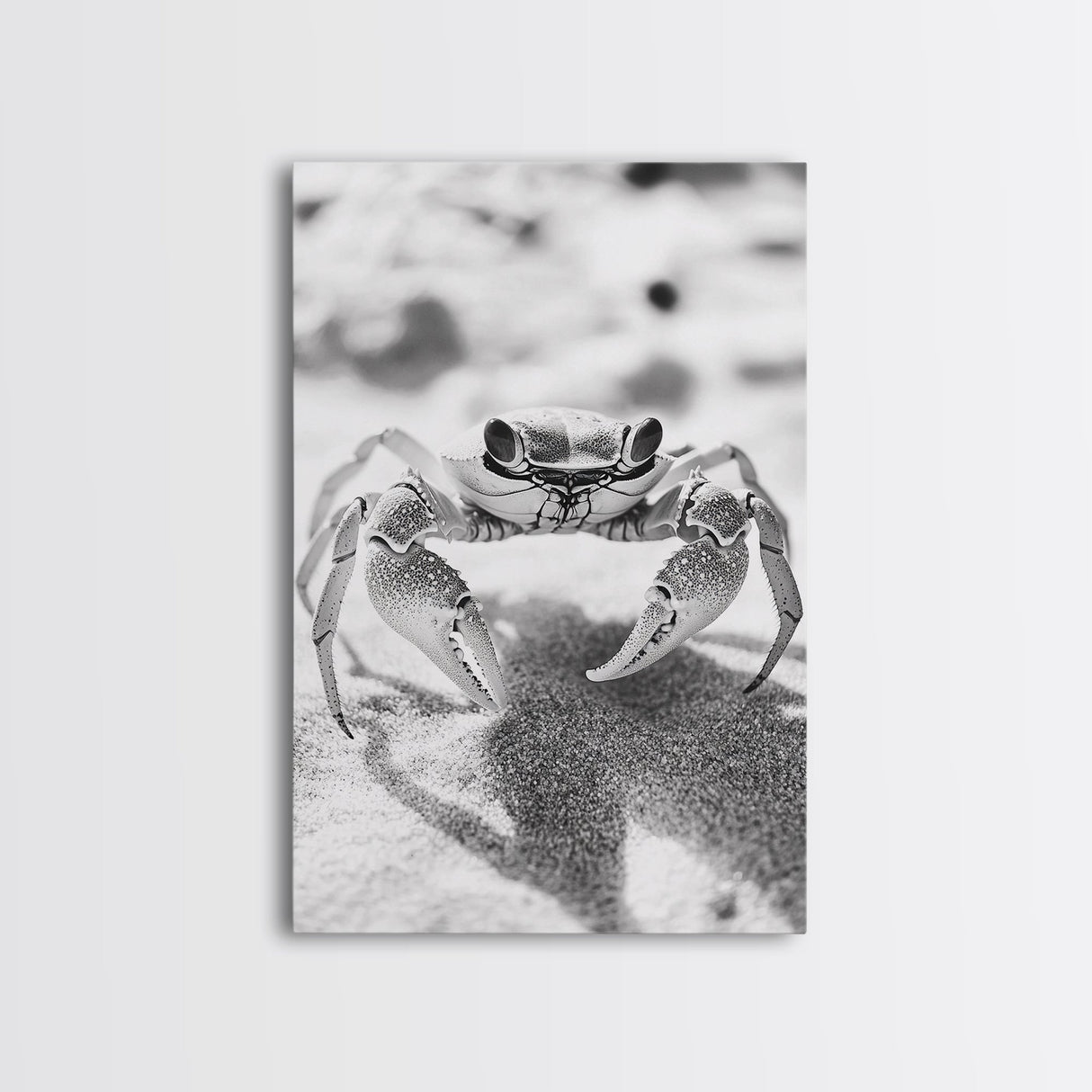 Sand Crab, Beach Macro, Ocean Critter Art, Framed Canvas Print, Coastal Bathroom Decor, Beach House Wall Art, Nature Close-Up