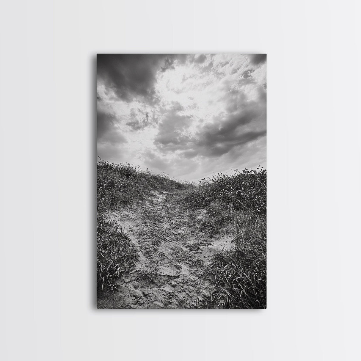 Sandy Trail, Ocean Path, Windy Grass, Moody Sky, Framed Canvas Print, coastal nature photography, hallway decor, rustic neutral art
