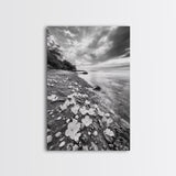 Flower Shore, Peaceful Beach, Moody Sky, Petal Scape, Framed Canvas Print, romantic beach art, bedroom decor, black and white floral print