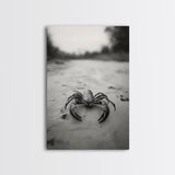 Desert Scorpion, Moody Wildlife, Sandy Ground, Focused Predator, Framed Canvas Print, edgy boho decor, masculine wall art, nature closeup