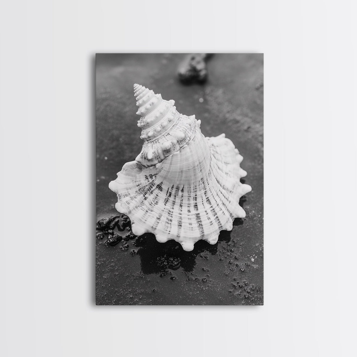 Spiral Shell, Beach Texture, Nature Closeup, Sea Whisper Framed Canvas Print, minimalist beach wall art, boho coastal kitchen decor