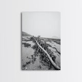 Seaweed Shoreline, Drifted Beauty, Coastal Debris, Tide Echo Framed Canvas Print, ocean nature wall art, minimalist beach decor