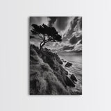 Coastal Pines, Rocky Shore, Windswept Tree, Wild Ocean Framed Canvas Print, rustic cabin art, black and white beach wall decor
