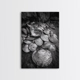 Seashell Pile, Textured Beach, Coastal Treasures, Natural Beauty Framed Canvas Print, bathroom decor, shell art, beach wall style