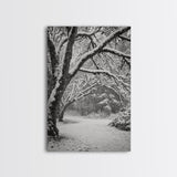 Snowfall Trees, Winter Forest, Nature Pathway, Canvas Print, Holiday Season Decor, Cozy Living Room or Cabin Wall Art