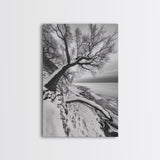 Coastal Snow, Barren Tree, Frozen Shoreline, Canvas Print, Serene Winter Decor, Entryway or Hallway Minimalist Wall Art