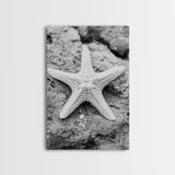 Starfish Closeup, Coastal Shell, Beach Texture, Framed Canvas Print, Bathroom or Ocean Nursery Decor, Minimal Beach Art