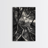 Sunlit Forest Roots, Tree Shadows, Golden Light, Framed Canvas Print, Boho Nature Wall Art, Bedroom Wall Decor, Earthy Tones