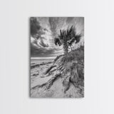 Palm Tree Beach, Coastal Dunes, Dramatic Sky, Framed Canvas Print, Tropical Wall Art, Boho Living Room Decor, Beach House Art