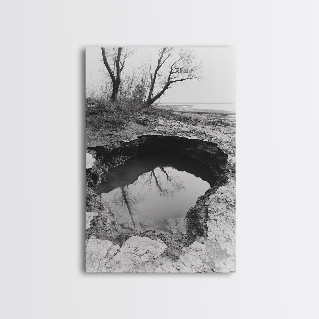 Reflected Trees Pool, Black White Nature, Moody Autumn Wall Art, Rustic Minimalist Style, Framed Canvas Print, Entryway Home Decor