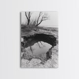 Reflected Trees Pool, Black White Nature, Moody Autumn Wall Art, Rustic Minimalist Style, Framed Canvas Print, Entryway Home Decor