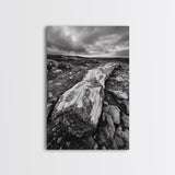 Rocky Terrain Driftwood, Weathered Wood Scene, Outdoor Adventure Art, Modern Rustic Decor, Framed Canvas Print, Earthy Tones Photography