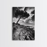 Wind Bent Tree, Coastal Cliff, Solitary Beauty, Canvas Print, Nature Photography Wall Art, Minimalist Earthy Decor, Moody Landscape