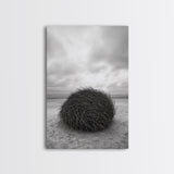 Windswept Beach Nest, Natural Sculpture, Driftwood Ball, Solitude Scene, Canvas Print, Minimalist Wall Art, Neutral Bedroom Decor