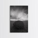 Twilight Field Nest, Tumbleweed Art, Desert Calm, Grassy Plains, Framed Canvas Print, Entryway Wall Art, Boho Nature Landscape