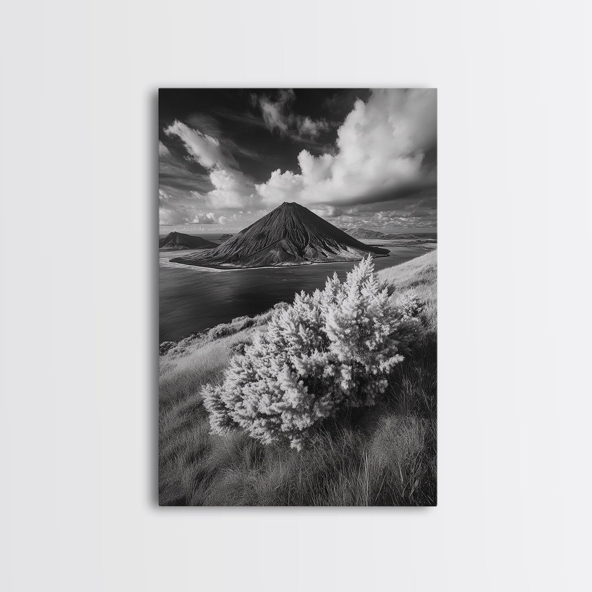 Majestic Volcano, Wild Grass, Black and White, Framed Canvas Print, Nature Photography, Office Decor, Moody Art, Rustic Wall Art