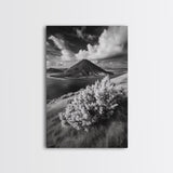 Majestic Volcano, Wild Grass, Black and White, Framed Canvas Print, Nature Photography, Office Decor, Moody Art, Rustic Wall Art