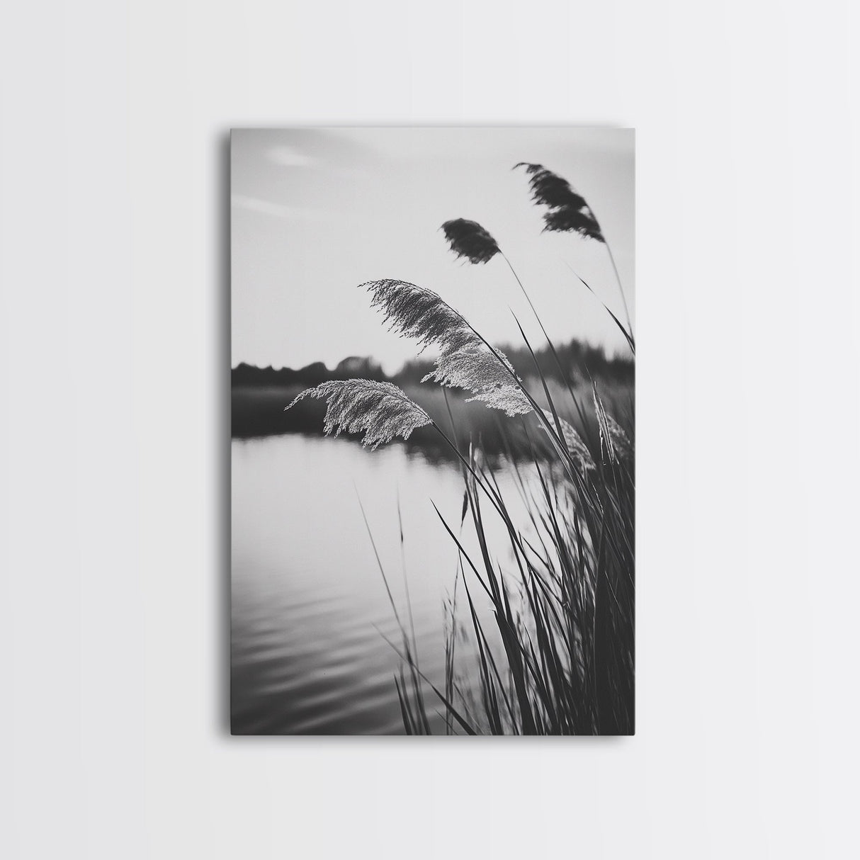 Reed Grass, Gentle Breeze, Black and White Nature, Canvas Print, Minimalist Wall Art, Tranquil Lake Scene, Bedroom Decor