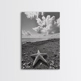 Starfish on Shore, Rocky Beach Scene, Cloudy Sky Horizon, Ocean Calm, Framed Canvas Print, Coastal Art, Bathroom Wall Decor