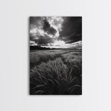 Golden Grass Field, Dramatic Sunset, Autumn Skies, Nature Movement, Framed Canvas Print, Fall Landscape Art, Living Room Decor