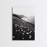 Daisy Cliffside Bloom, Coastal Flowers, Peaceful Nature Scene, Framed Canvas Print, Bedroom Wall Art, Botanical Decor, Minimalist Style